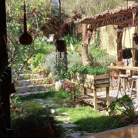 טיליקארה Apartamento En El Vivero מראה חיצוני תמונה