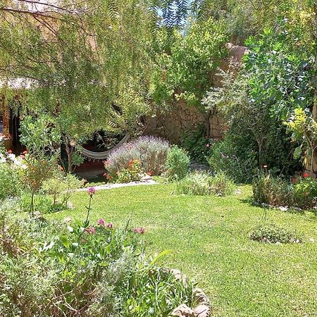 טיליקארה Apartamento En El Vivero מראה חיצוני תמונה