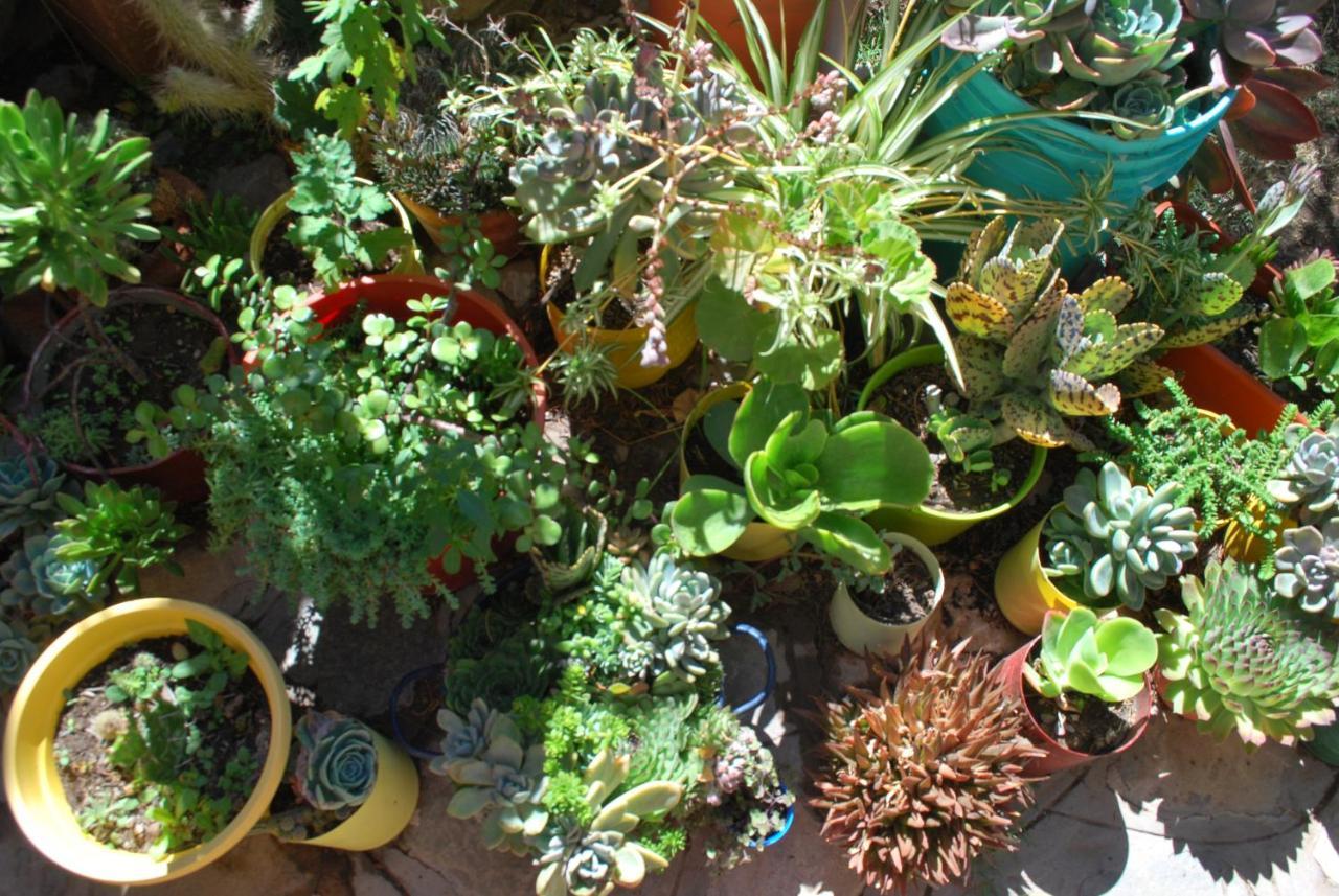 טיליקארה Apartamento En El Vivero מראה חיצוני תמונה