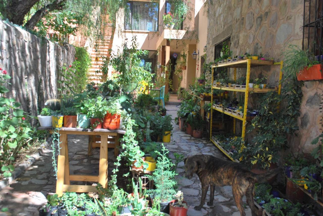 טיליקארה Apartamento En El Vivero מראה חיצוני תמונה