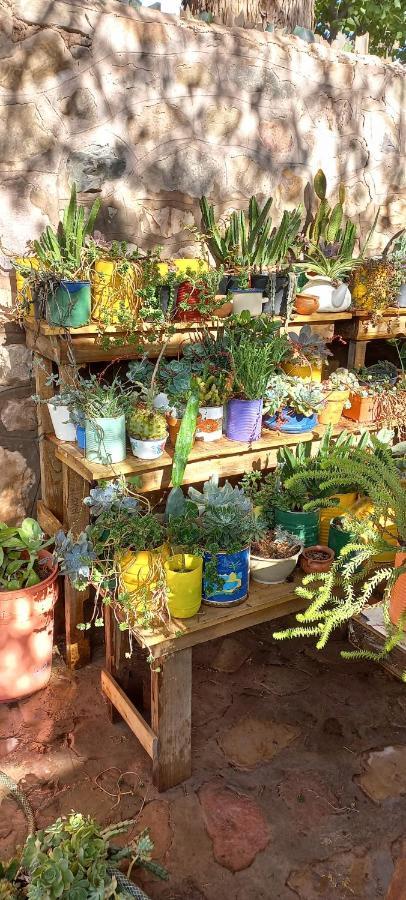 טיליקארה Apartamento En El Vivero מראה חיצוני תמונה