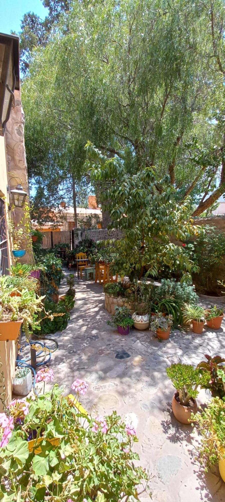 טיליקארה Apartamento En El Vivero מראה חיצוני תמונה